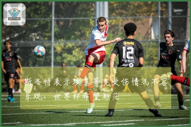 斯洛特表示埃基蒂克受伤情况不容乐观，世界杯希望渺茫