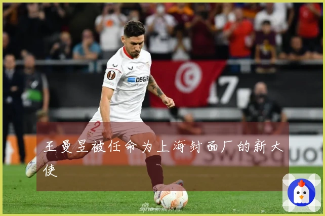 王曼昱被任命为上海封面厂的新大使